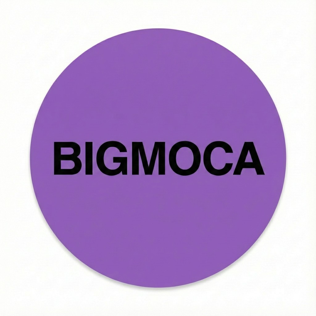 Bigmoca Logo